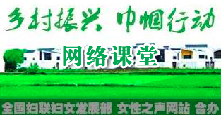 乡村振兴巾帼行动